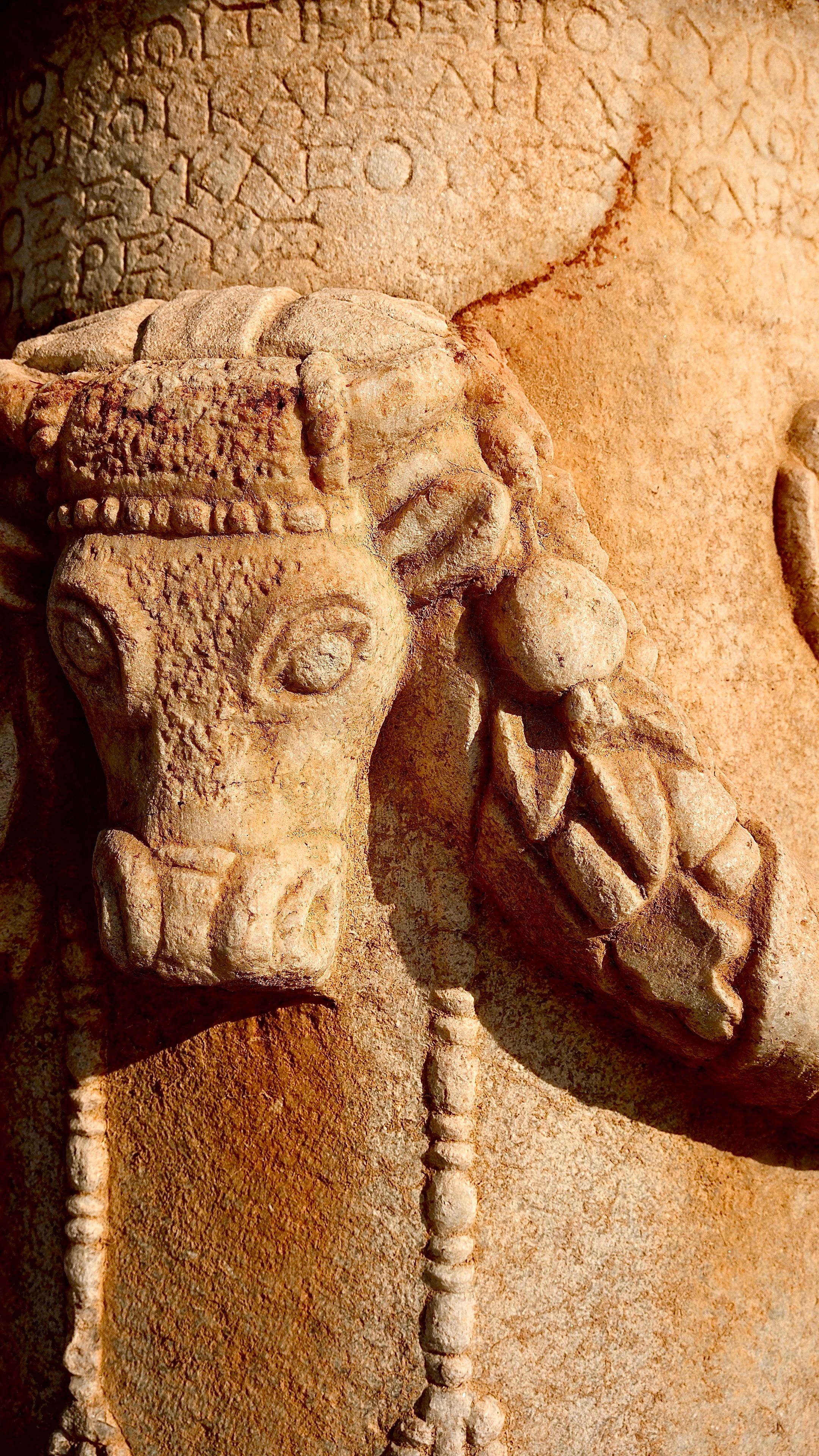 Un primer plano de una estatua de piedra con cabeza de vaca · Foto de ...
