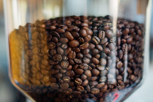 コーヒー粉砕機のコーヒー豆の写真