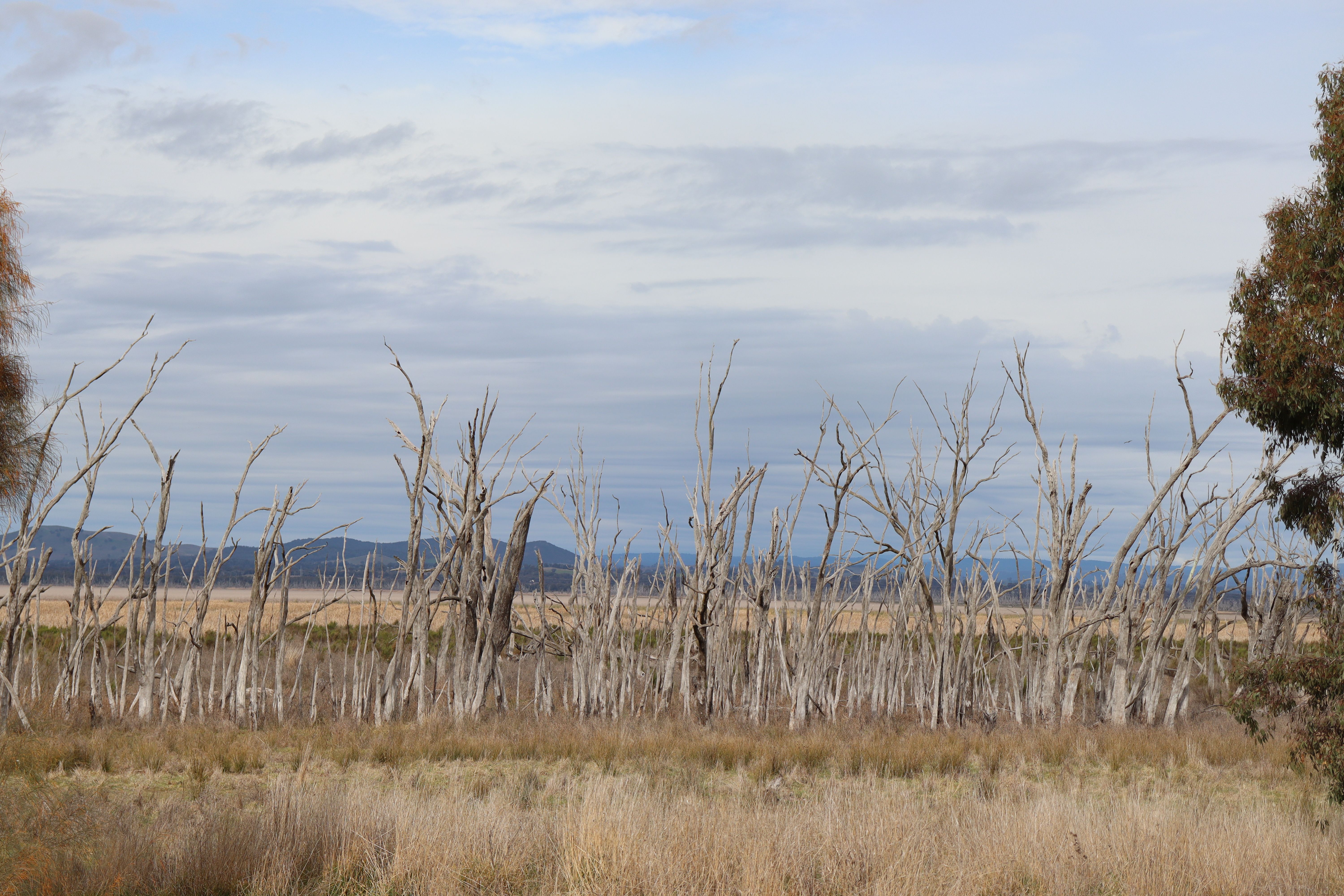 Bacchus Marsh