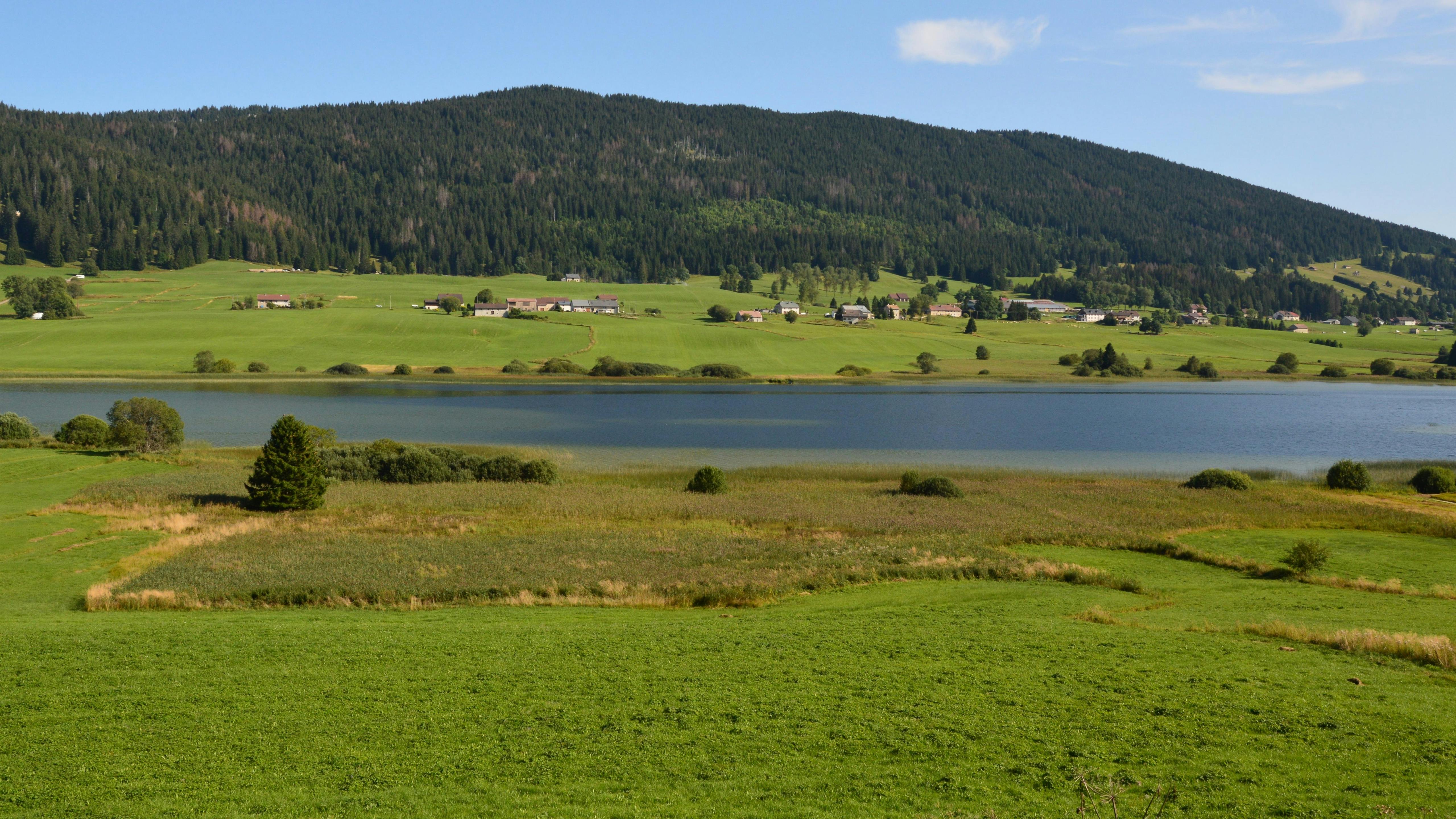 a large green field with a lake in the middle