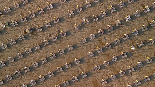 Rows of empty sunbeds on sandy beach in Caorle, Italy, vibrant summer scene.
