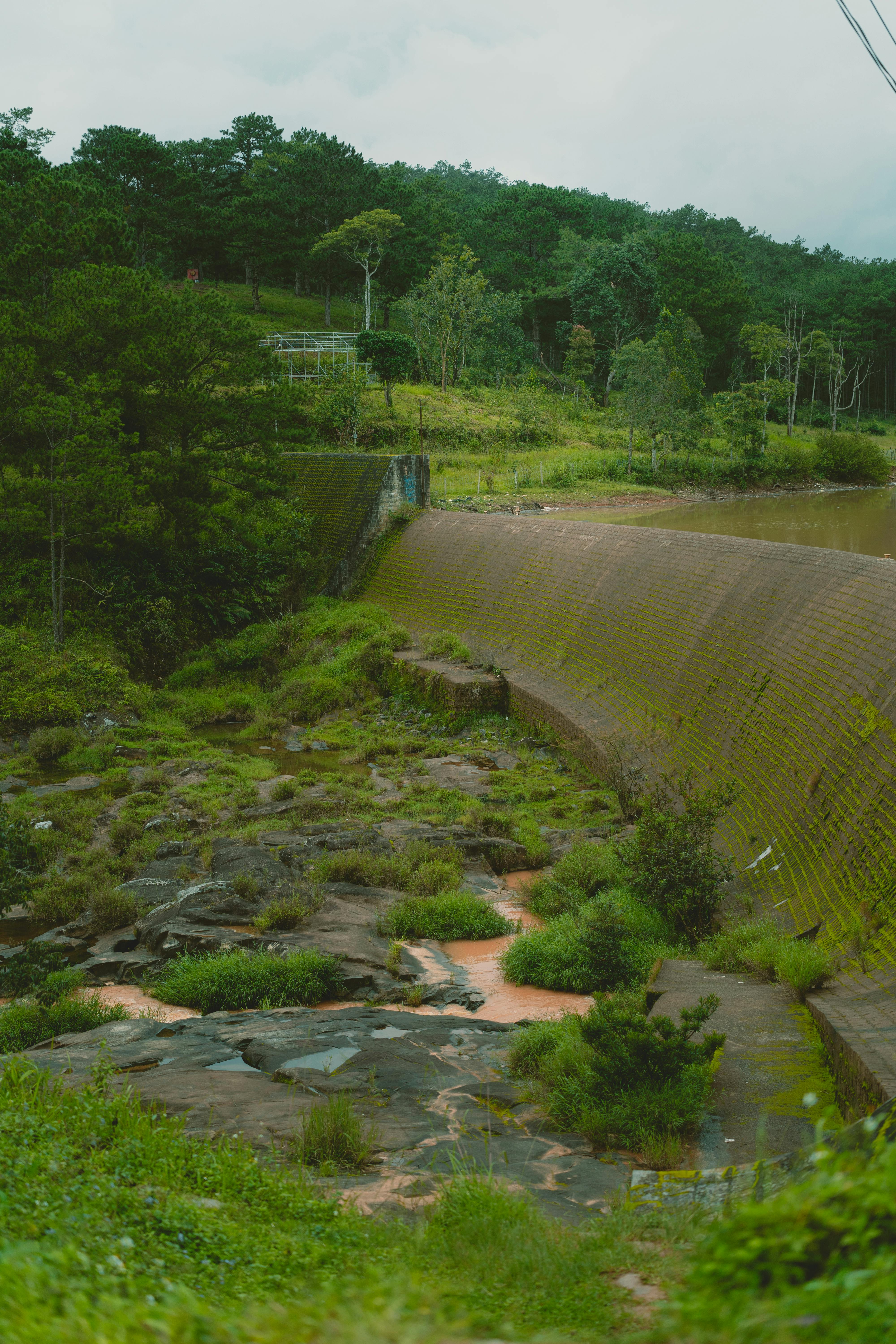 Miễn phí Ảnh lưu trữ miễn phí về bền vững, bình yên, bố cục dọc Ảnh lưu trữ