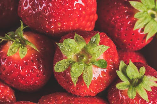 Free Shallow Focus Photo of Red Strawberries Stock Photo