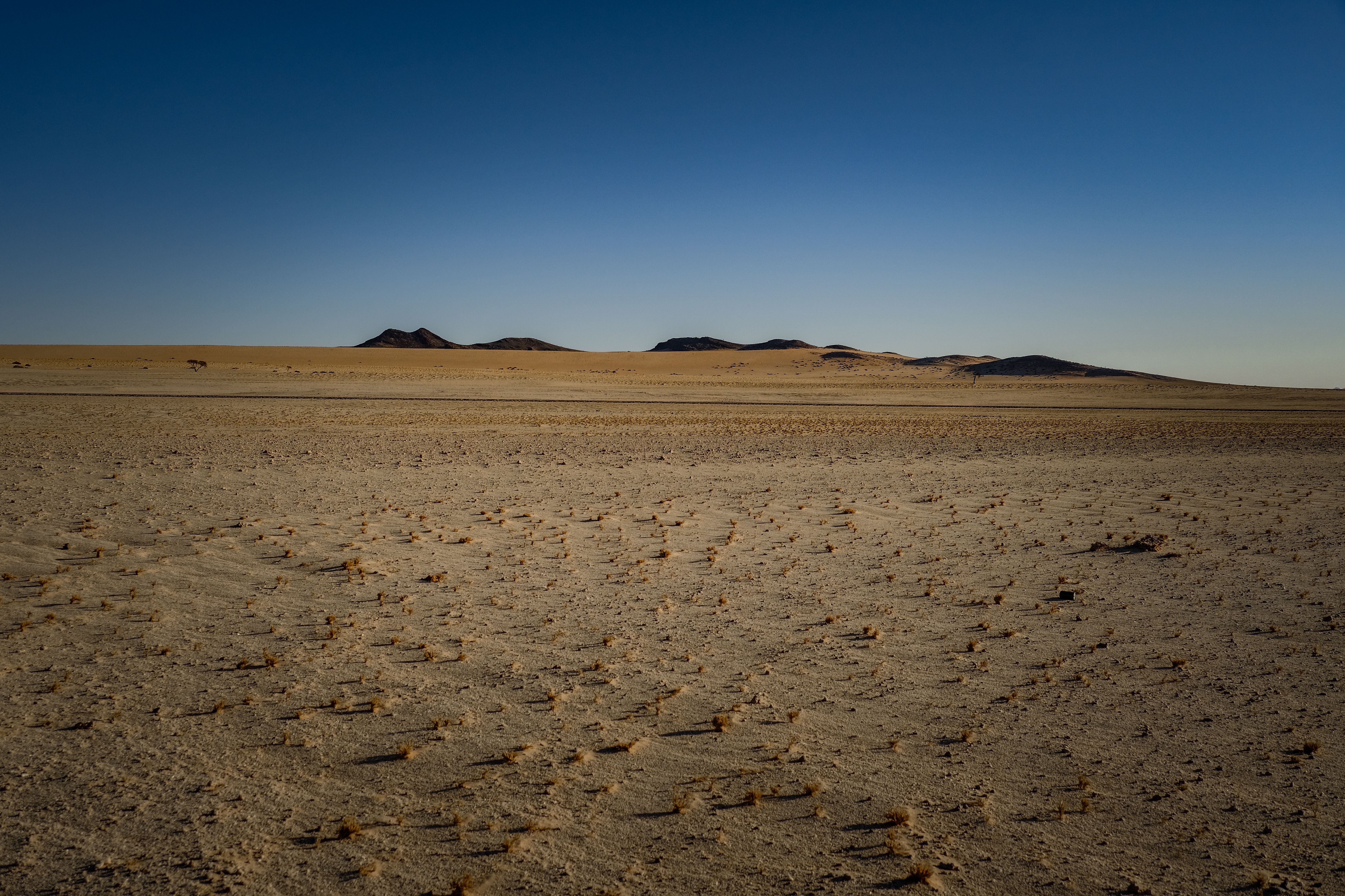 climate resilience drought mitigation — Photo by Francesco Ungaro on Pexels