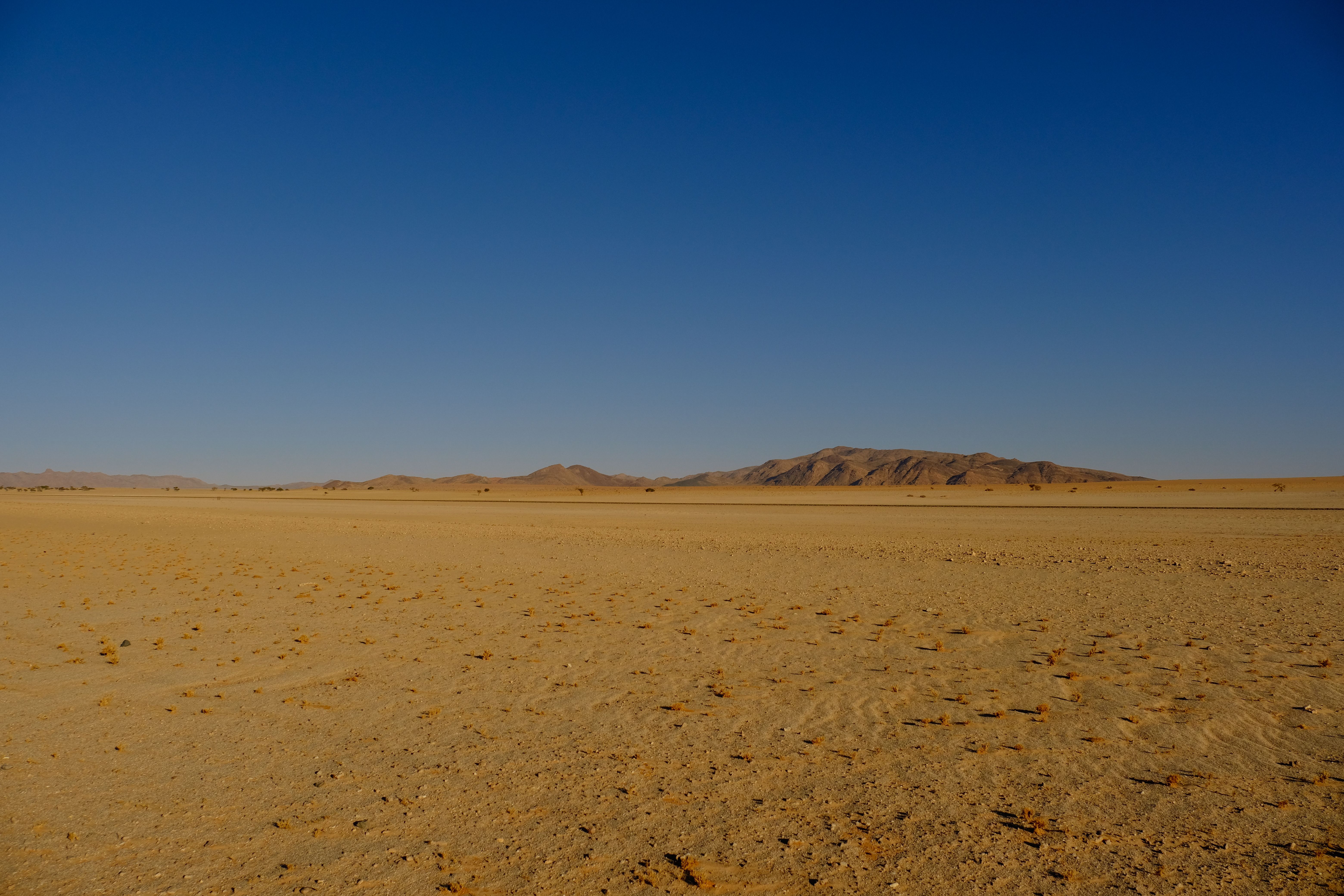 A desert with a blue sky and mountains in the distance · Free Stock Photo