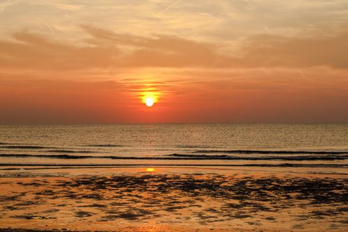 Free A stunning sunset casting vibrant colors over a calm ocean, reflecting on wet sand. Stock Photo
