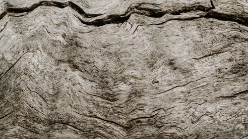 Free Detailed view of a textured, weathered wood surface with organic patterns. Stock Photo