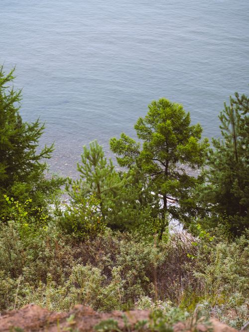 Free A tranquil seaside view from a cliff at Северобайкальск, Russia showing lush greenery and calm waters. Stock Photo