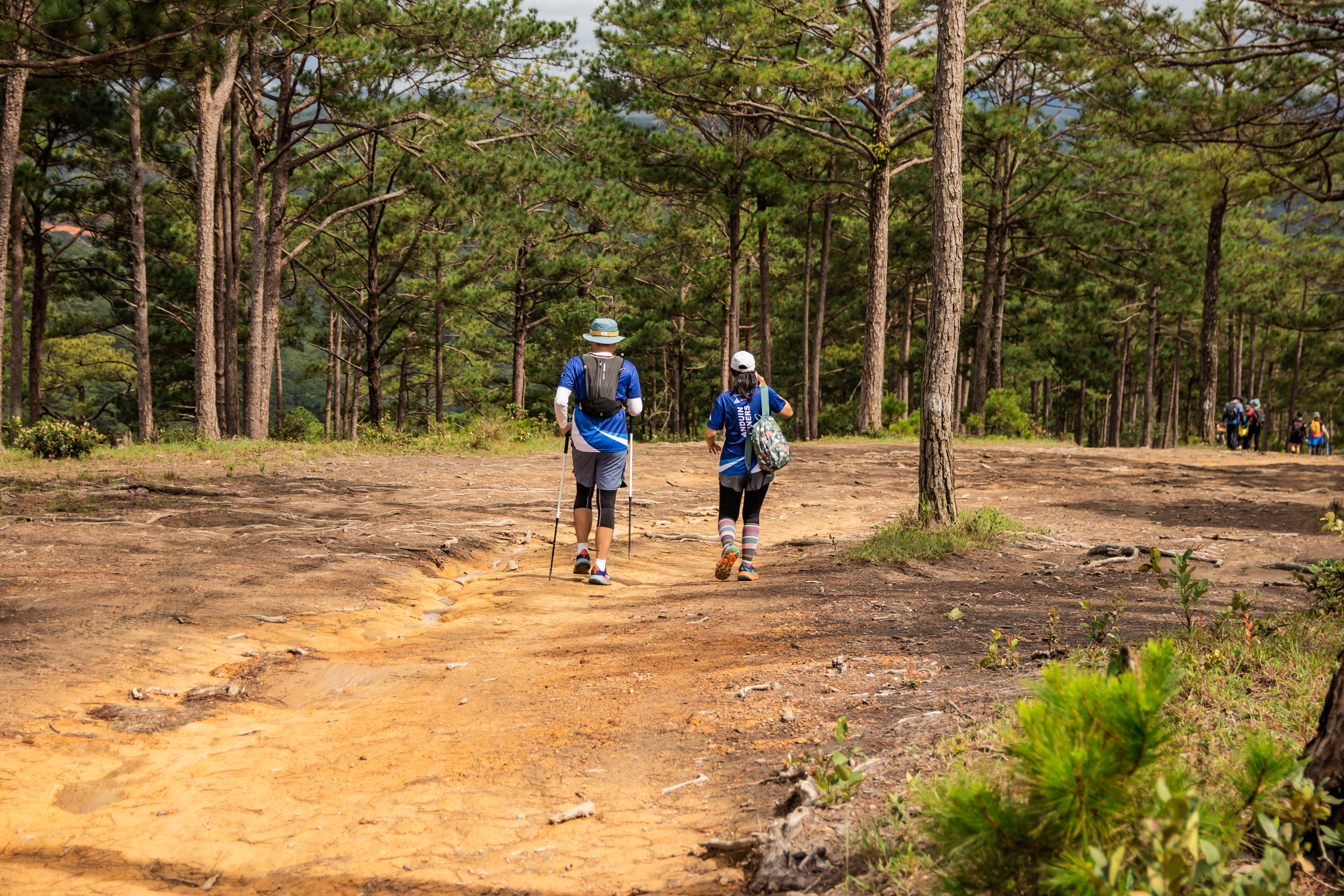 Two people walking on a dirt path in the woods · Free Stock Photo