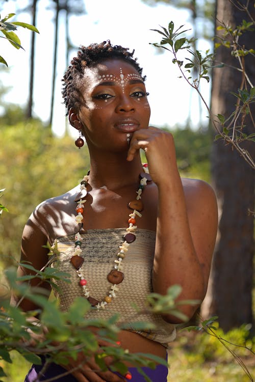 Ingyenes stockfotó afro-amerikai nő, álló kép, arcfestés témában Stockfotó
