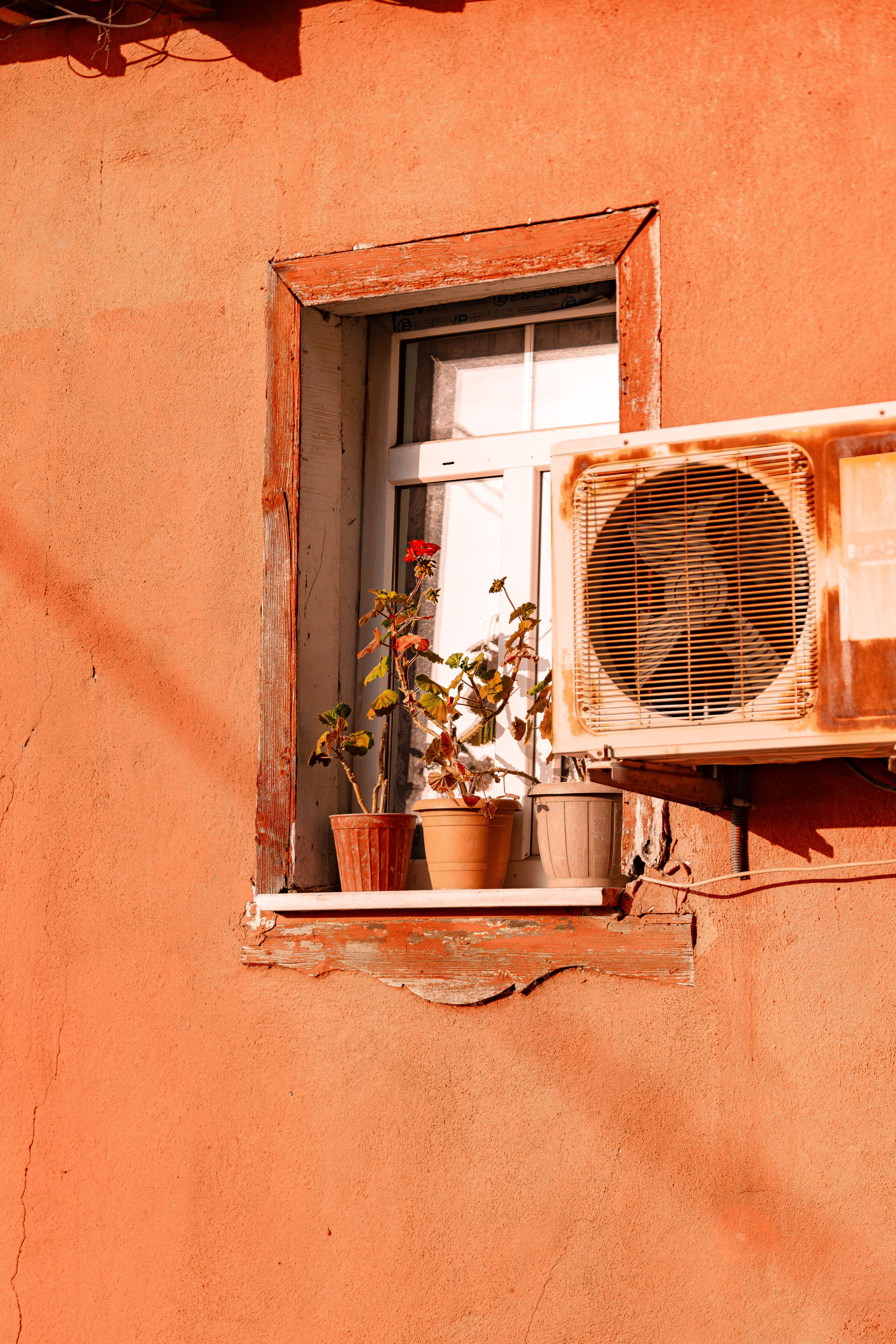 Potted Plants Standing on the Windowsill · Free Stock Photo