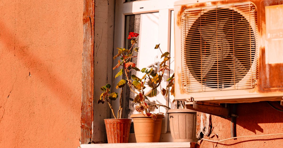 Window Air Conditioner Roses Potted Plants Standing on the Windowsill · Free Stock Photo