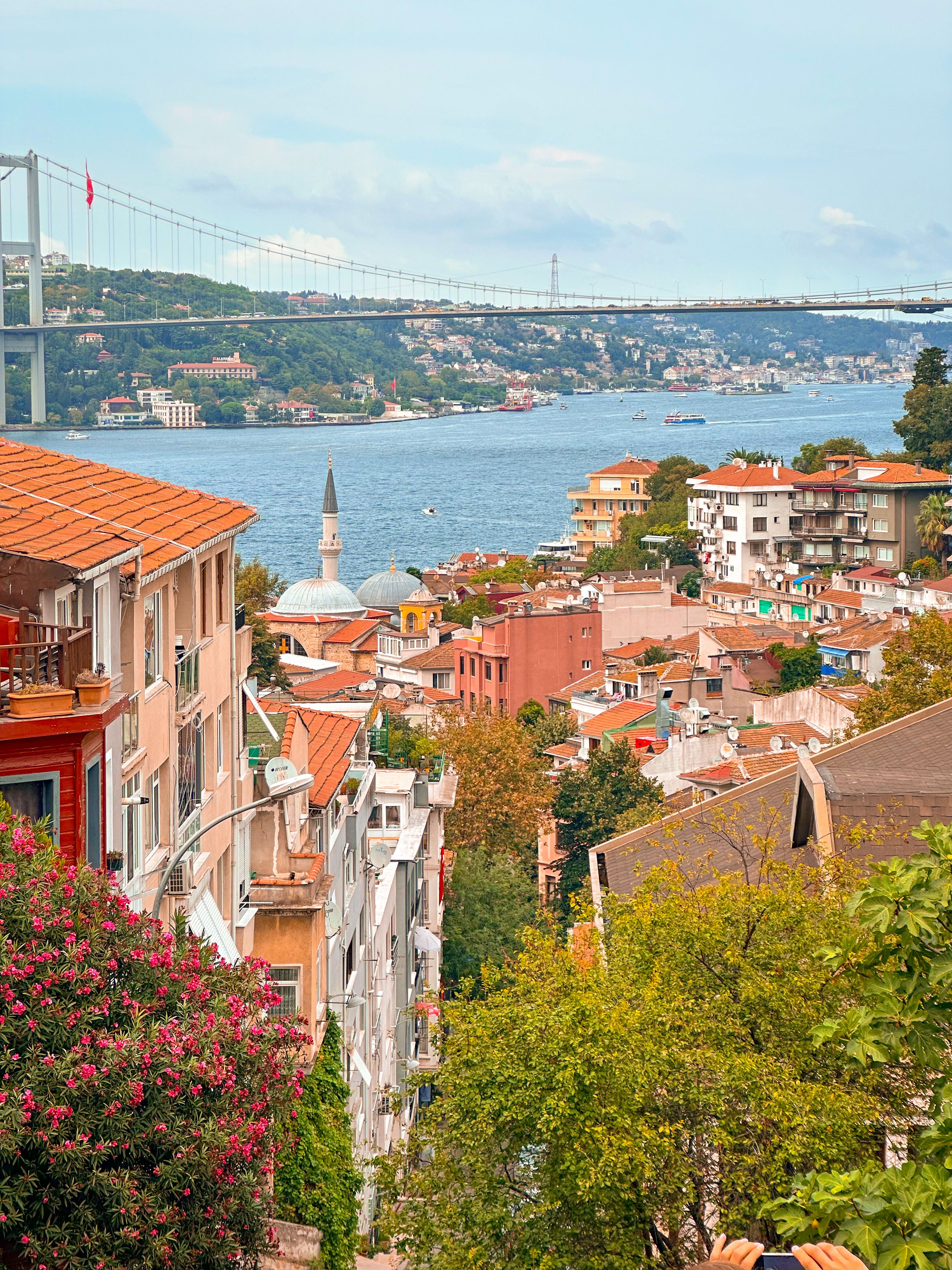 View of the Buildings, the Bosporus and the Bosphorus Bridge in ...