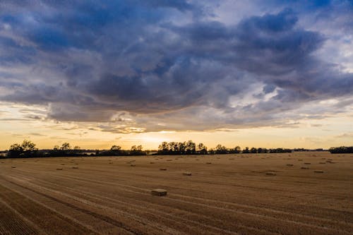 Brown Wheat Field Under Cloudy Sky