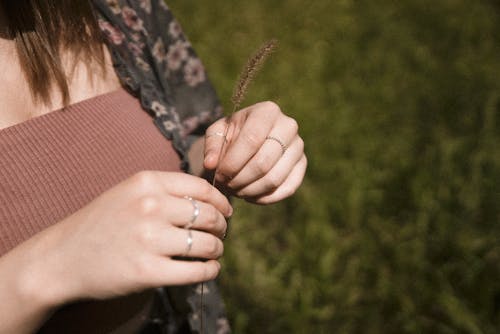 Woman's Hands