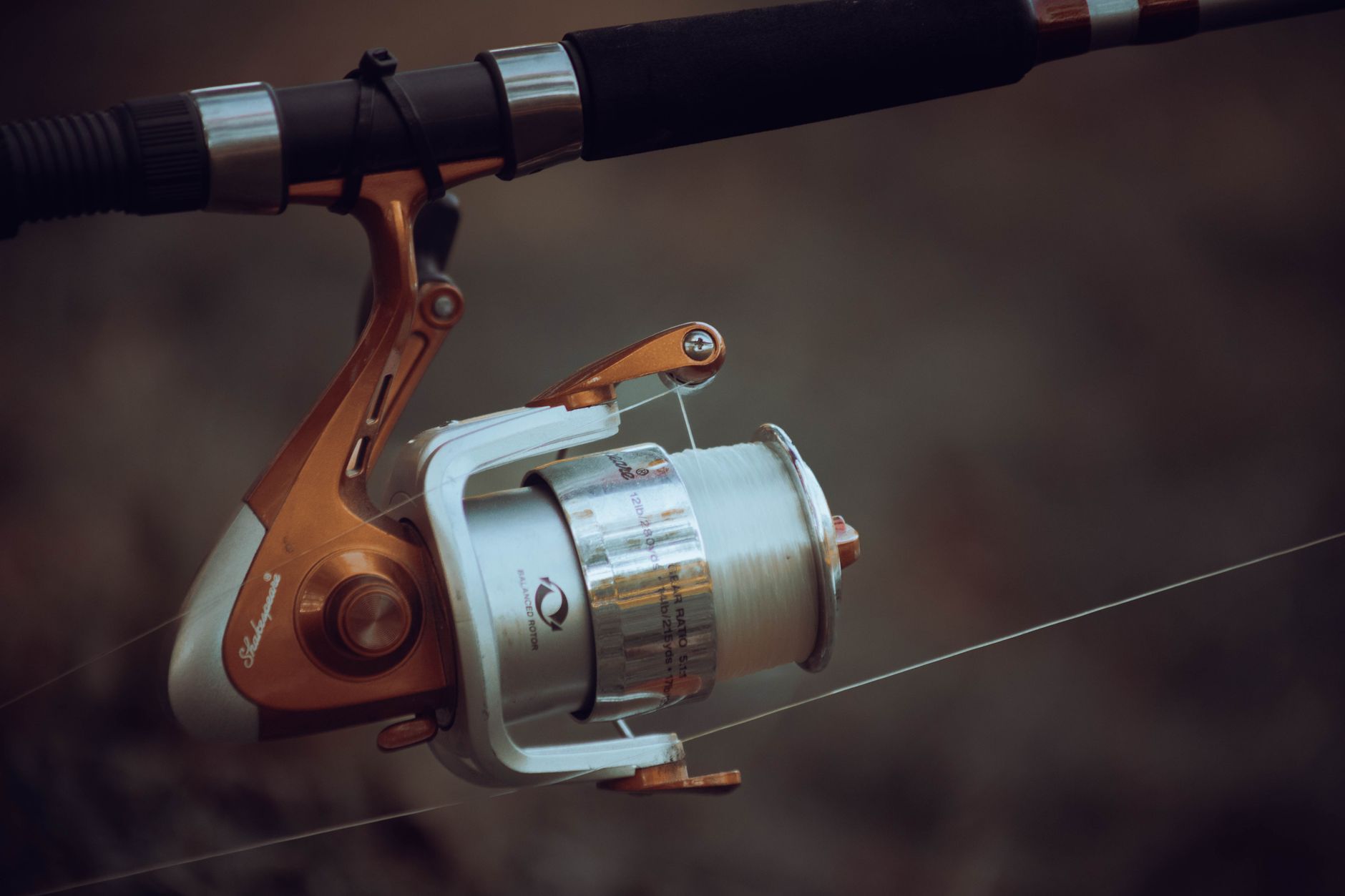 Best Spinning Reel for Beginners 2026