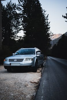 A vintage car parked on a serene road lined with pine trees in Vlora, Albania.