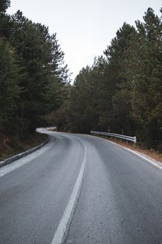 Tranquil scenic highway winding through lush forests in Vlora, Albania.