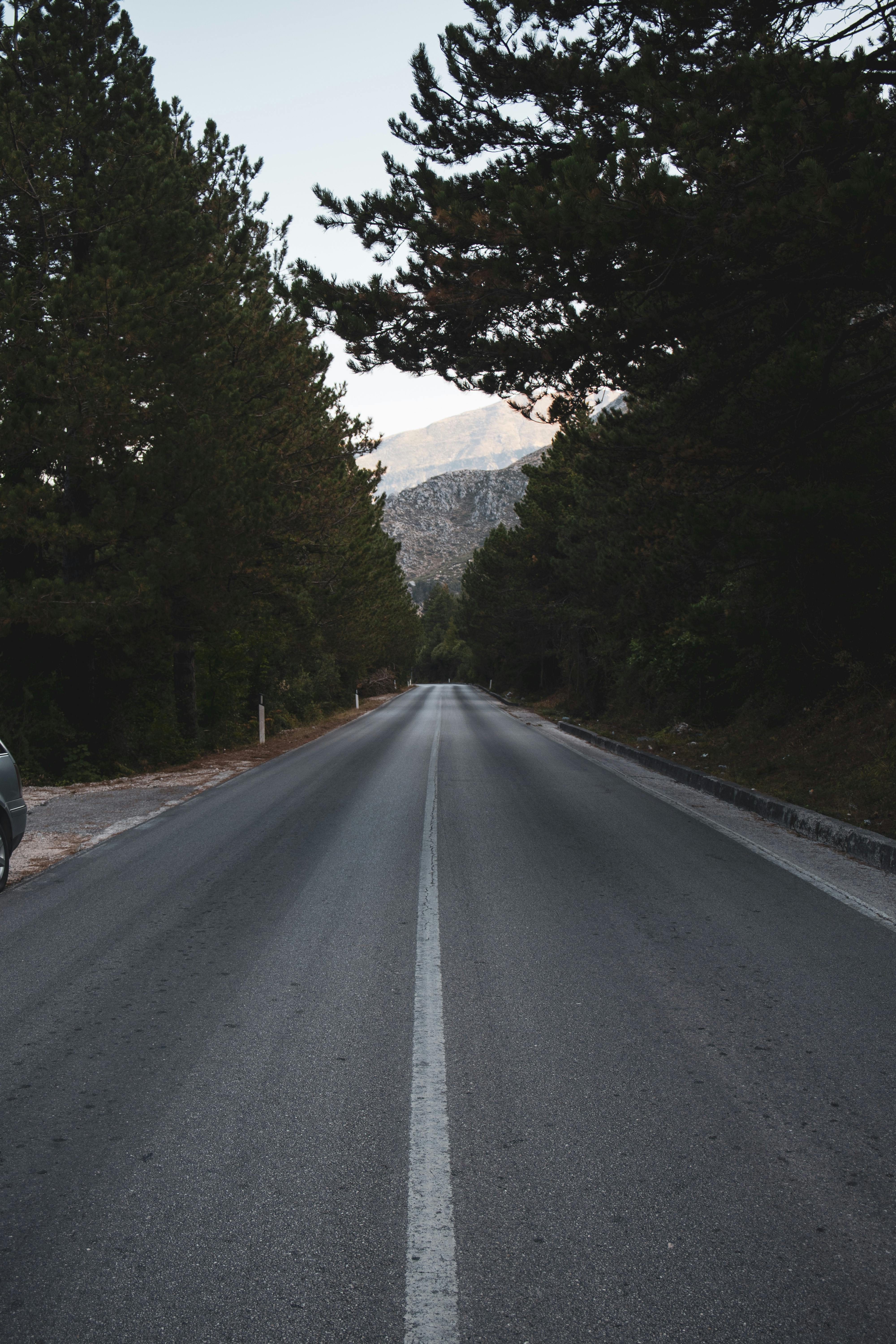 a road with trees and a car driving down it