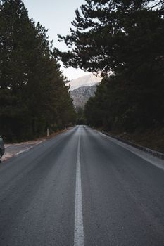 Explore a tranquil, tree-lined road with mountain views in Vlore, Albania.