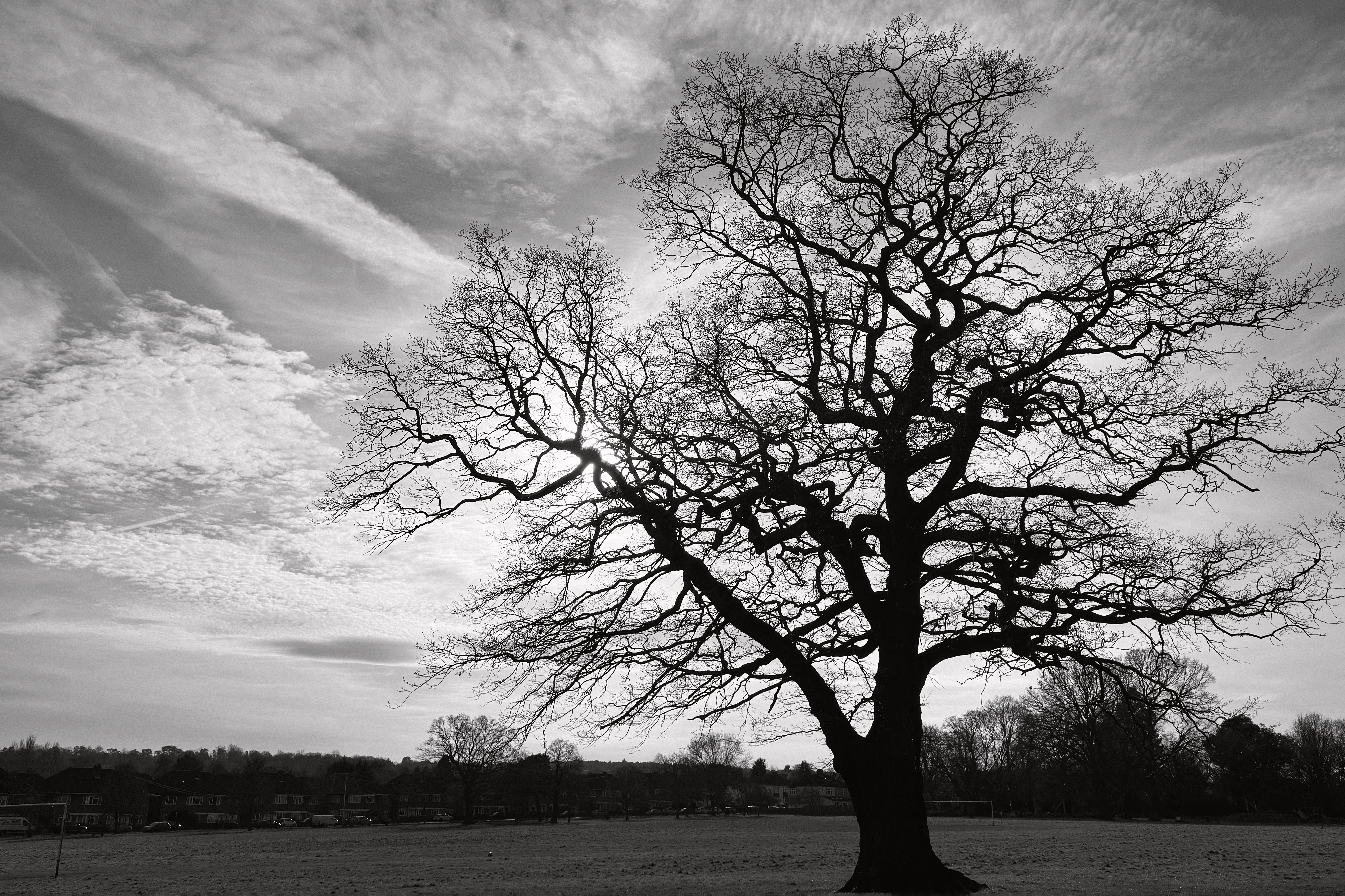 Croydon Park