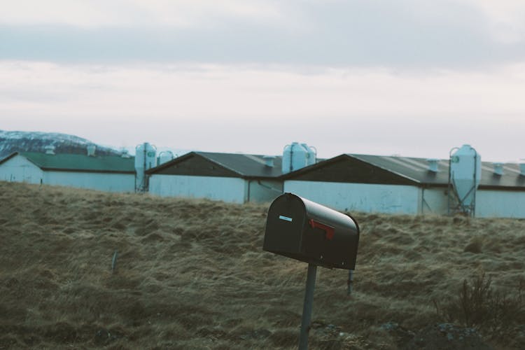 Black Mailbox