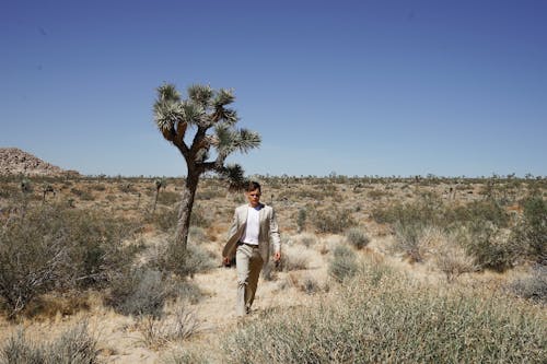 Free Man Walking In The Desert Stock Photo