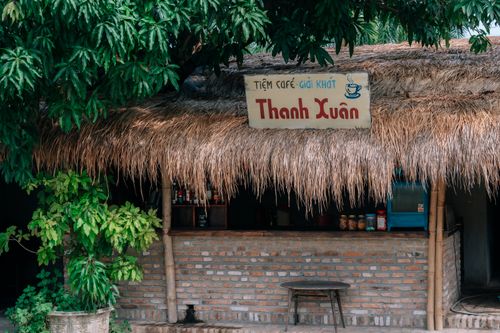 Free Rustic tropical café with thatch roof and lush greenery, inviting atmosphere. Stock Photo