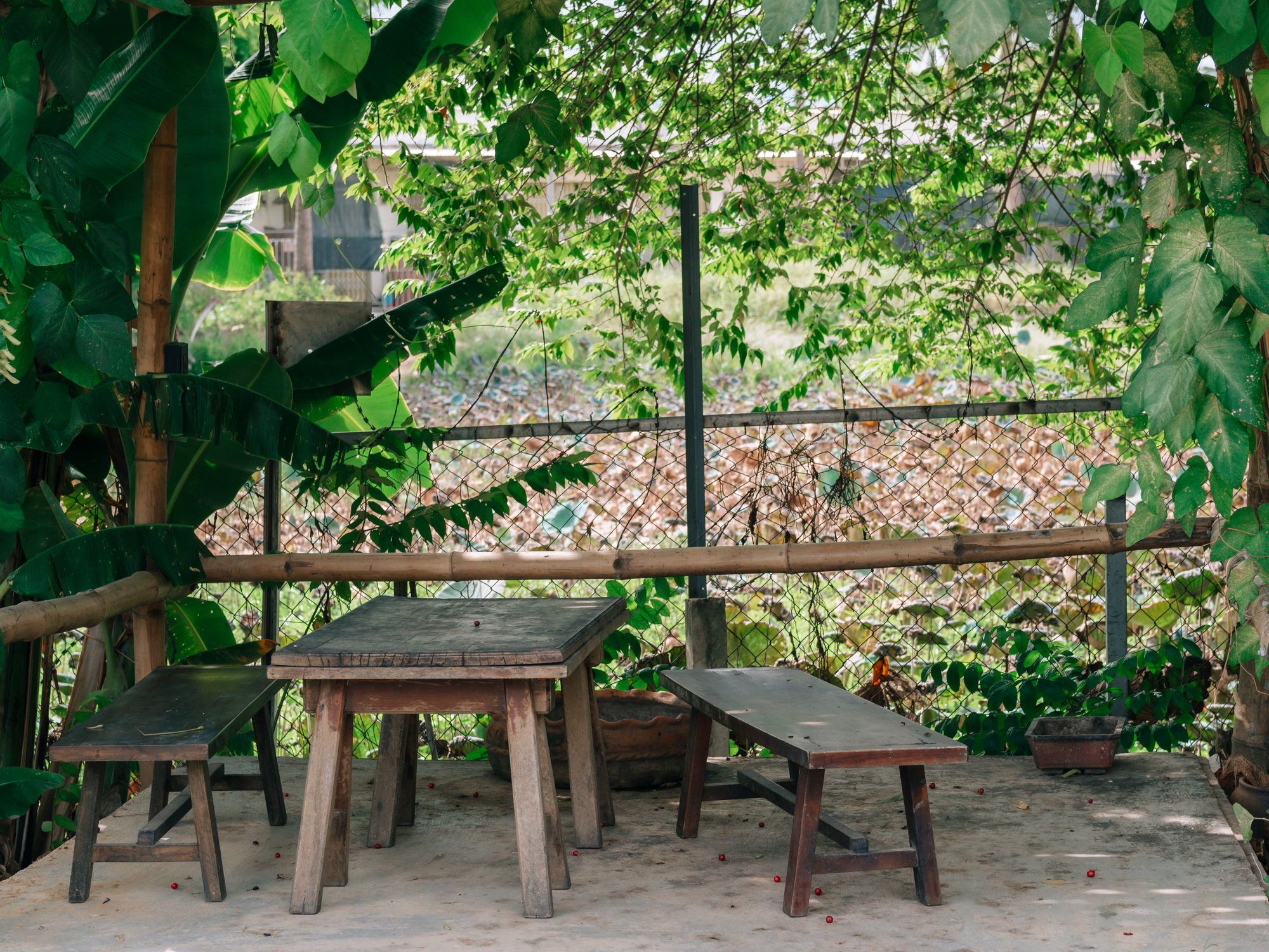 Fence and Decking Painting in Hackney Central, Hackney — garden fence being painted with weatherproof wood finish