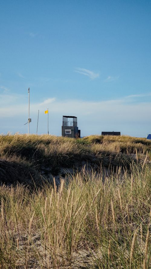 Free A peaceful beach scene with dunes and grass under a clear sky, capturing nature's tranquility. Stock Photo