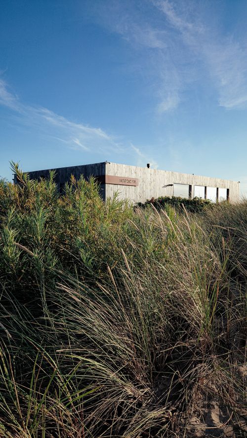 Free A modern wooden building surrounded by tall grass under a clear blue sky. Stock Photo