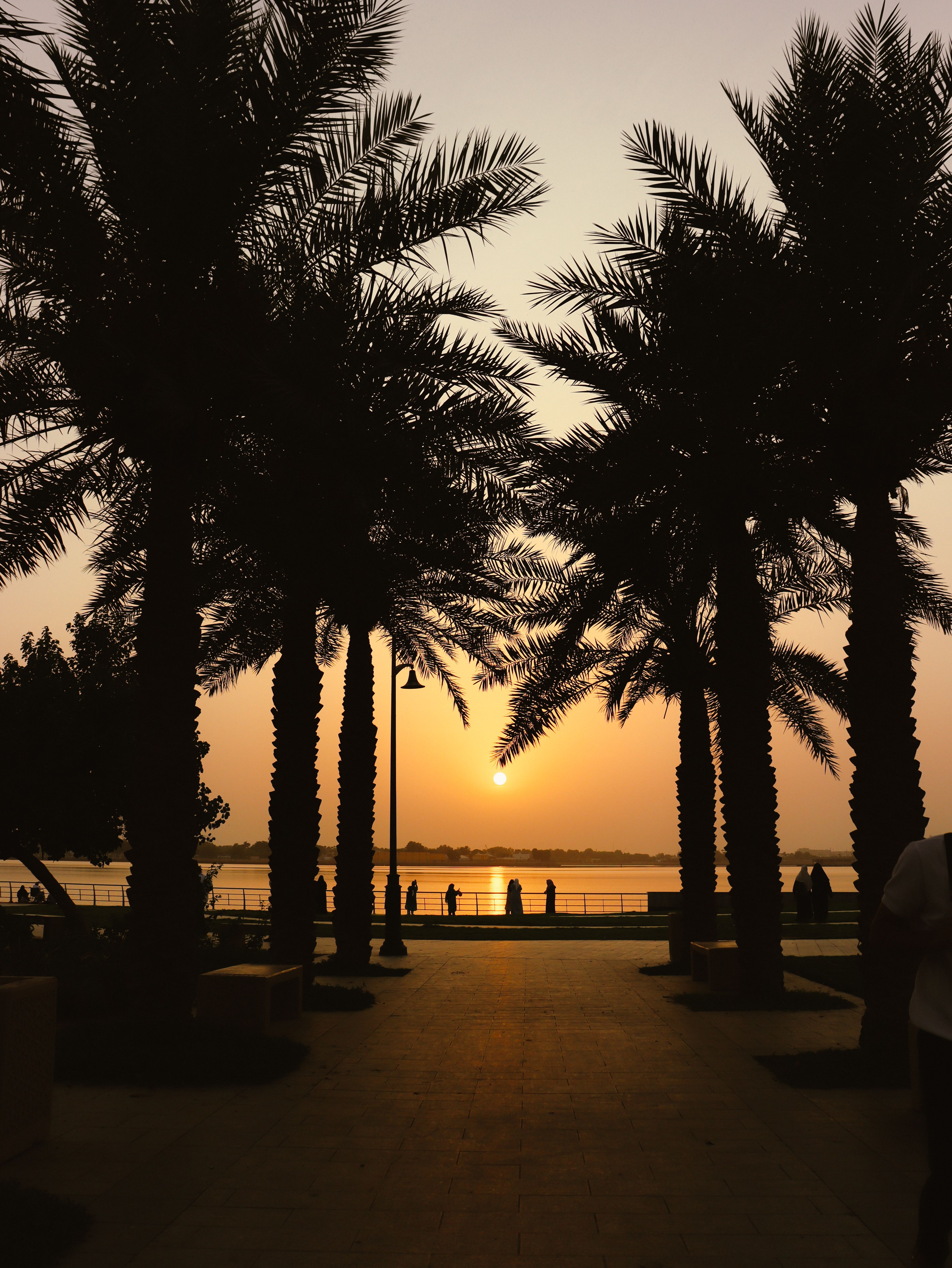 Serene promenade with silhouetted palm trees at sunset, featuring a vibrant sky and people enjoying the view.