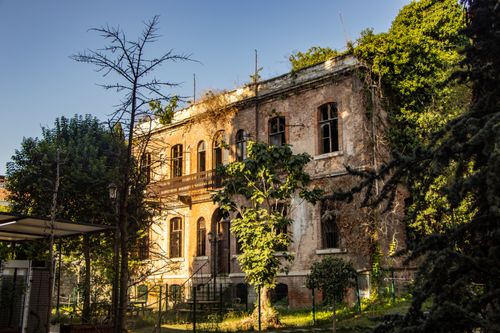 Free An old, ivy-covered building with a weathered facade, bathed in sunlight and overgrown with greenery. Stock Photo