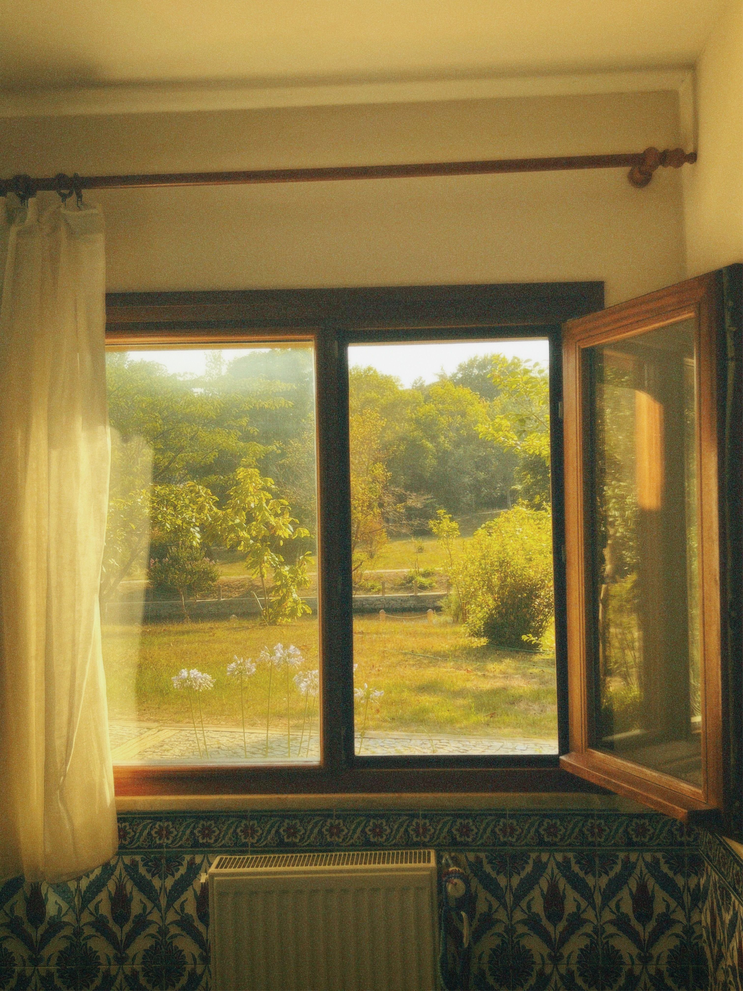 Cozy Room with Sunlit Window View · Free Stock Photo
