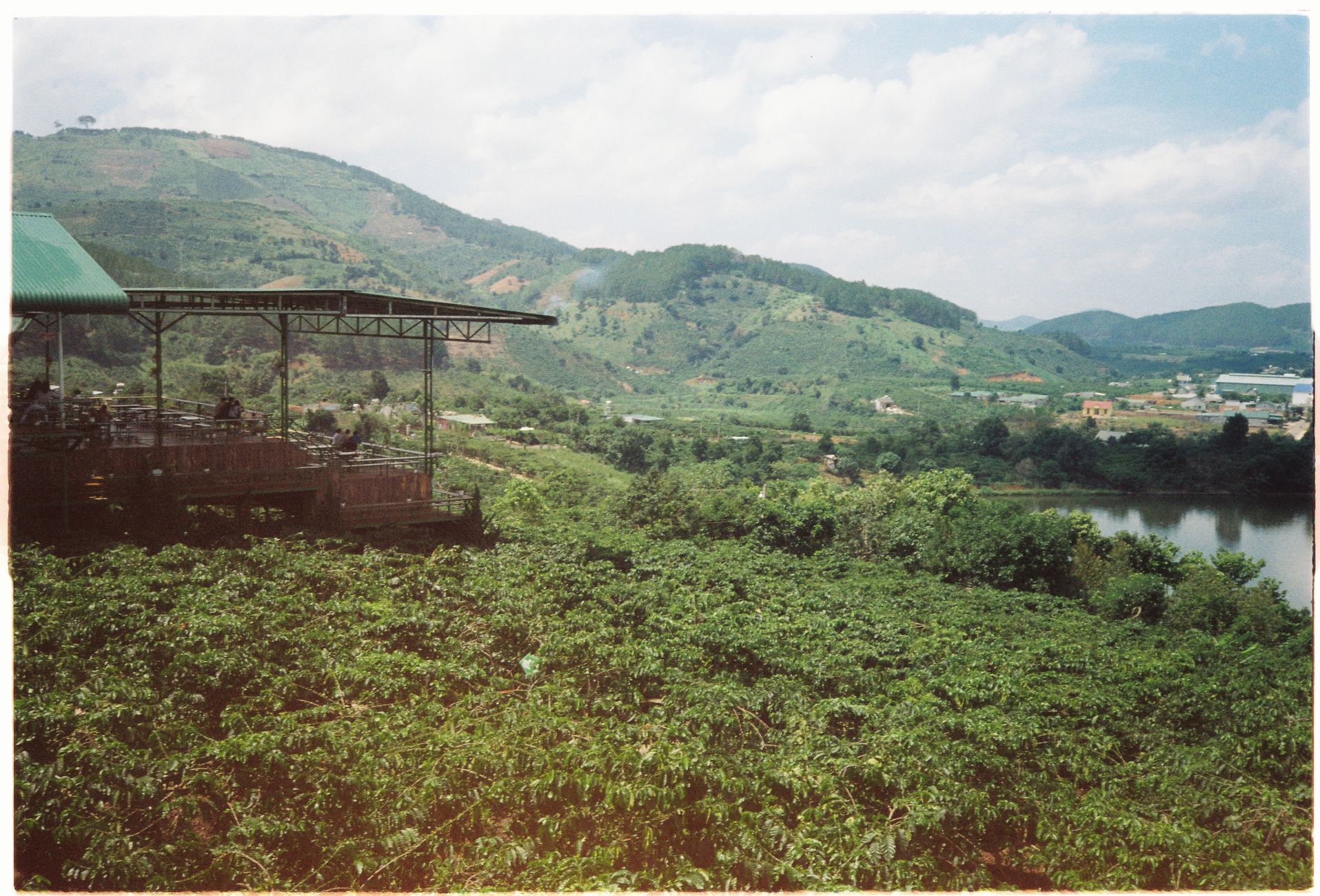 Explore the lush landscapes and tranquil hillside of Dalat, Vietnam, with this serene countryside image.