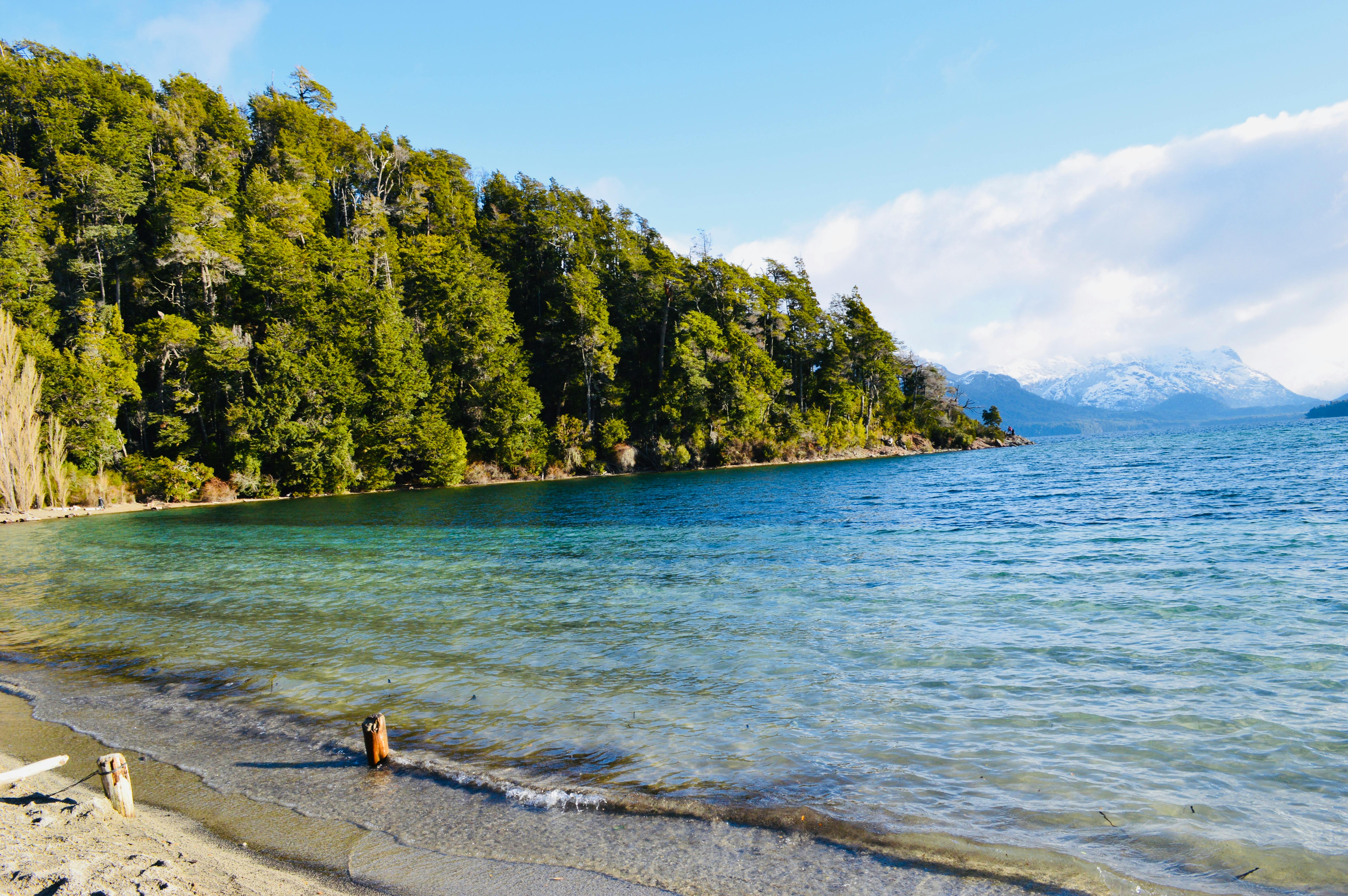 Explore the scenic beauty of Lake Lacar with lush forests and serene waters in San Martín de los Andes, Argentina.