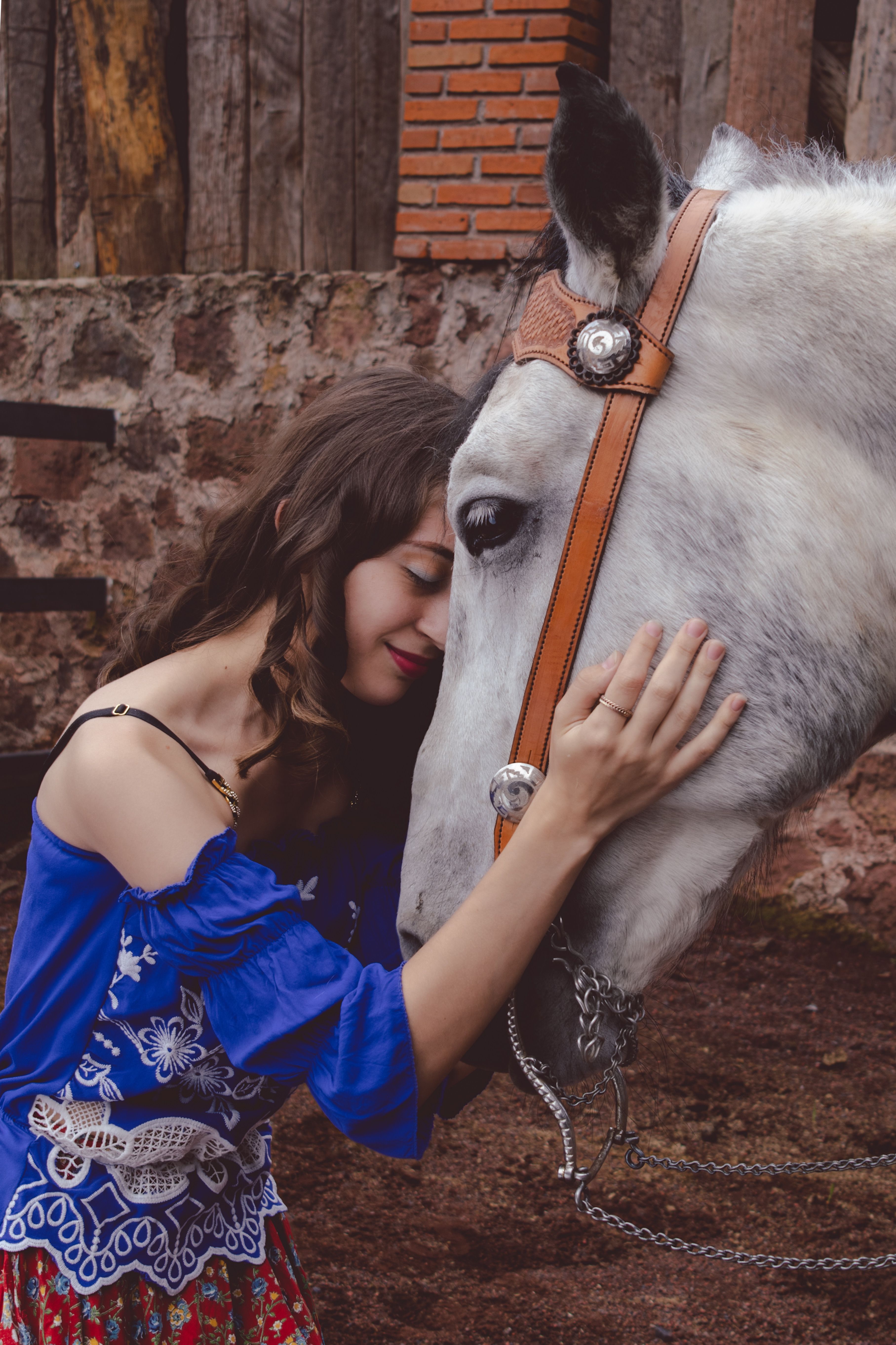 A woman in a blue dress is petting a horse  Free Stock Photo