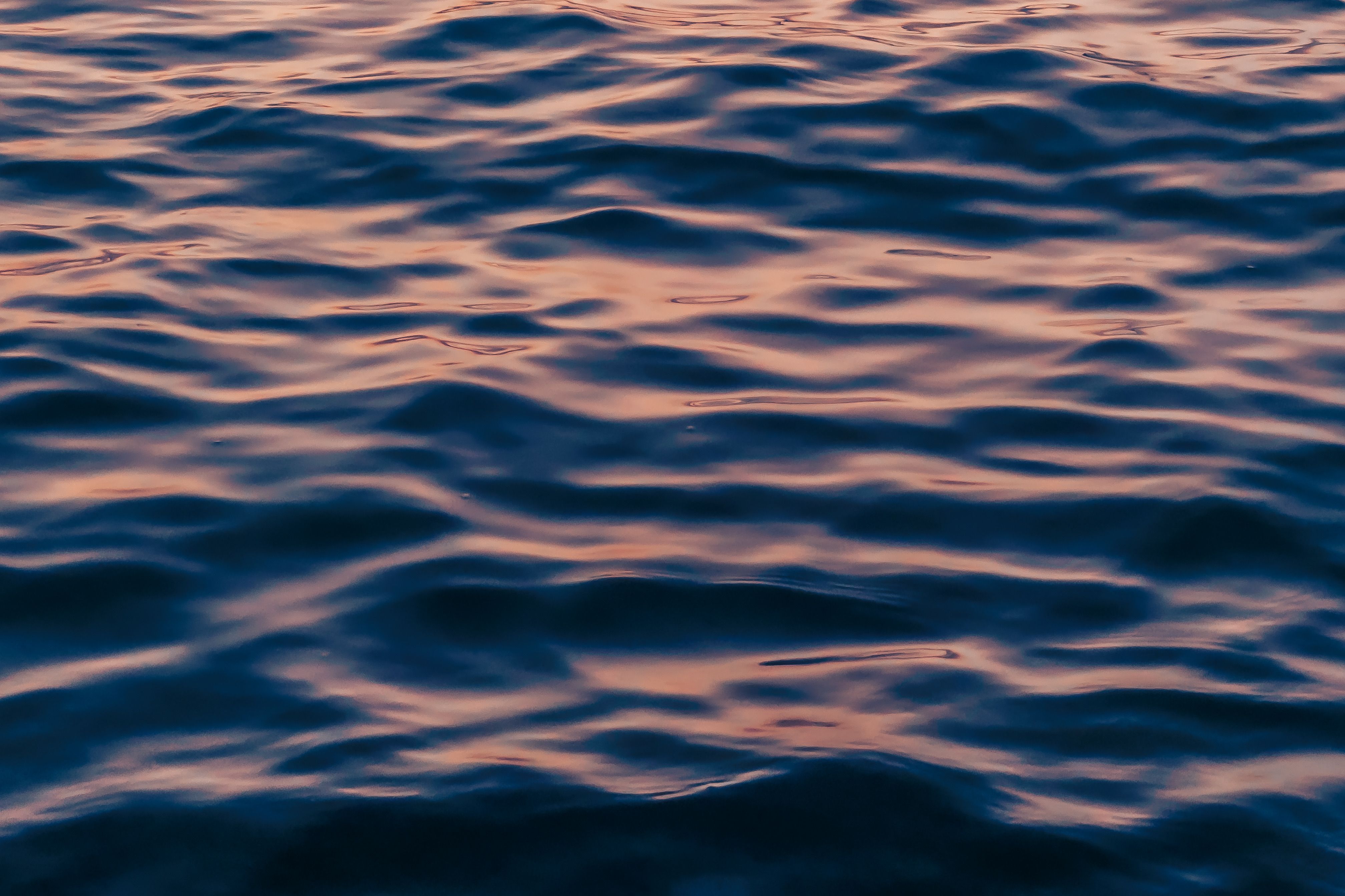 Foto: Nguyễn Trung  Phúc / Pexels