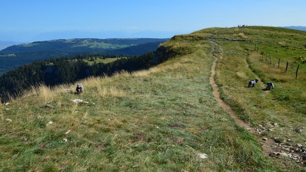 Longeville-en-Barrois