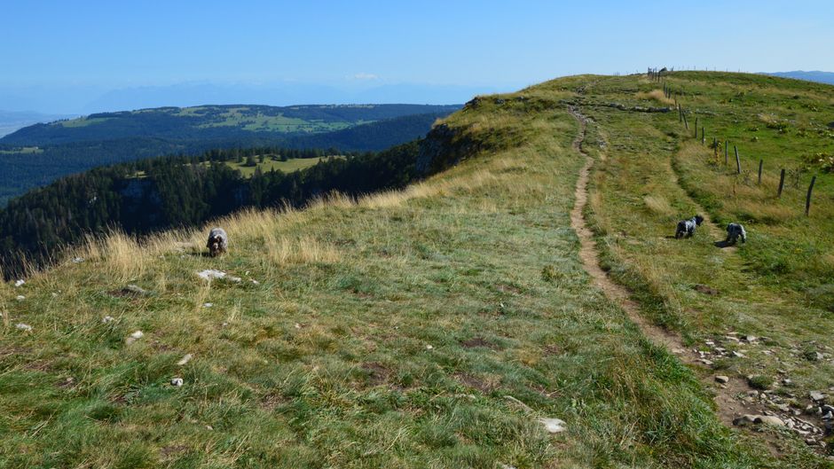 Randonnée Colline du Château à Mont Alban
