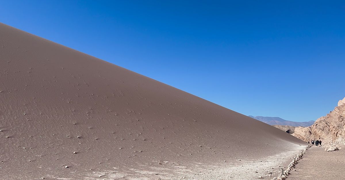Vida resiliente en 8 desiertos y ambientes extremos con ecosistemas únicos Vida resiliente en 8 desiertos y ambientes extremos con ecosistemas únicos