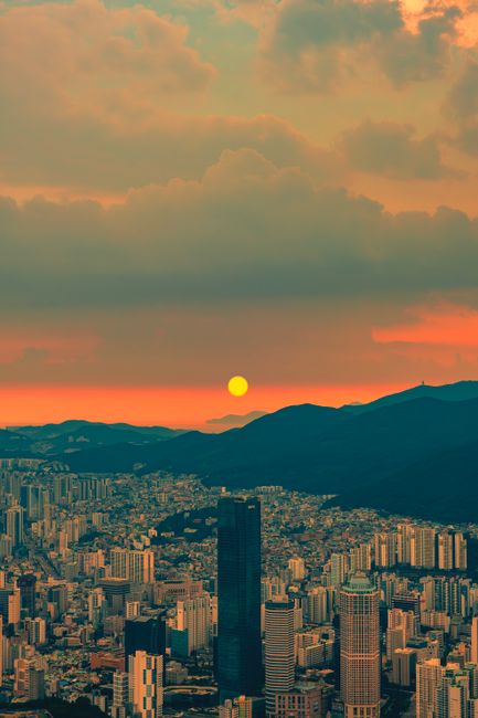 폭염특보 남은 우리 동네, 확인하는 법