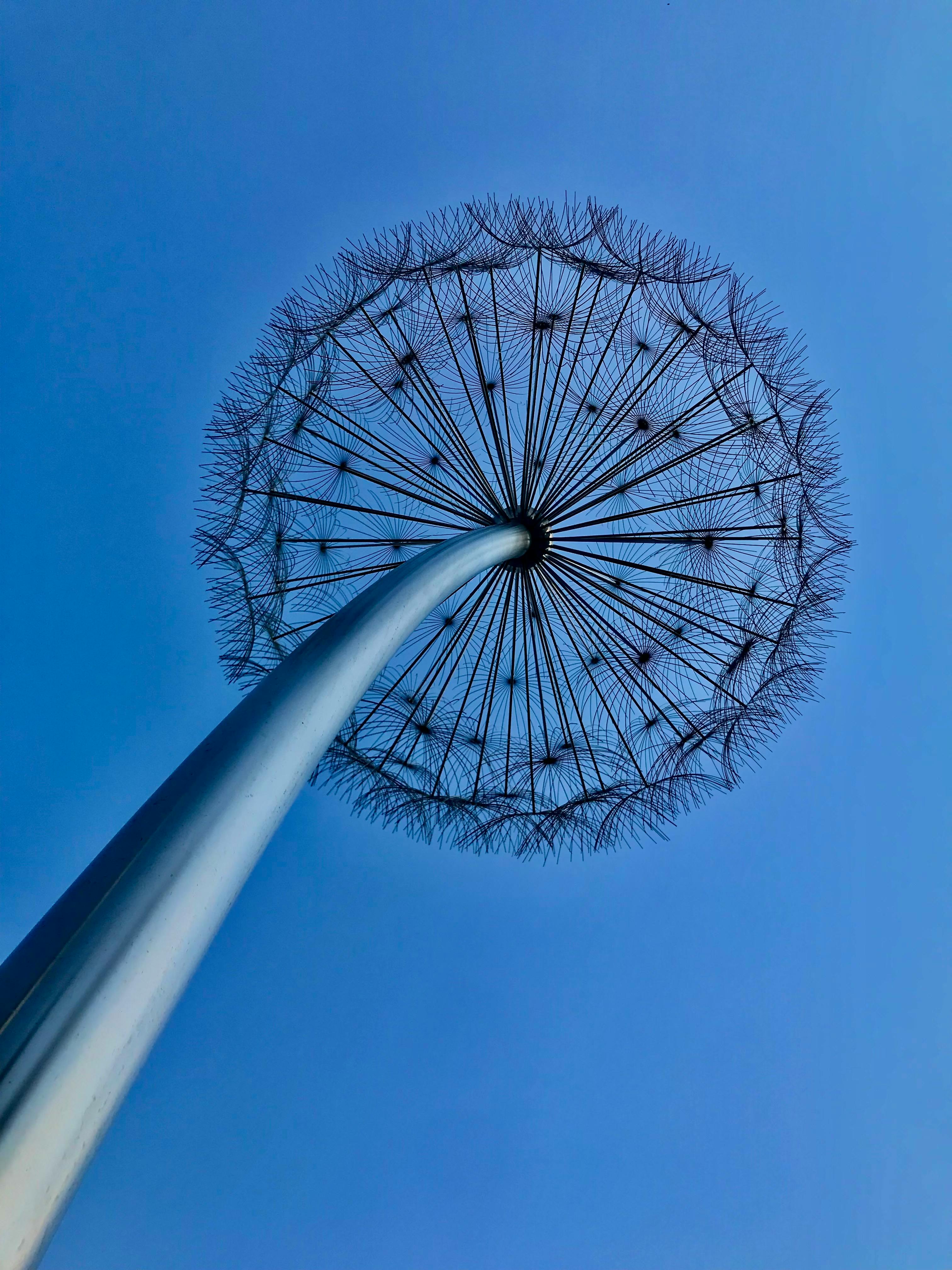 Low angle view of a dandelion-inspired metal sculpture under a clear blue sky, Dubai.