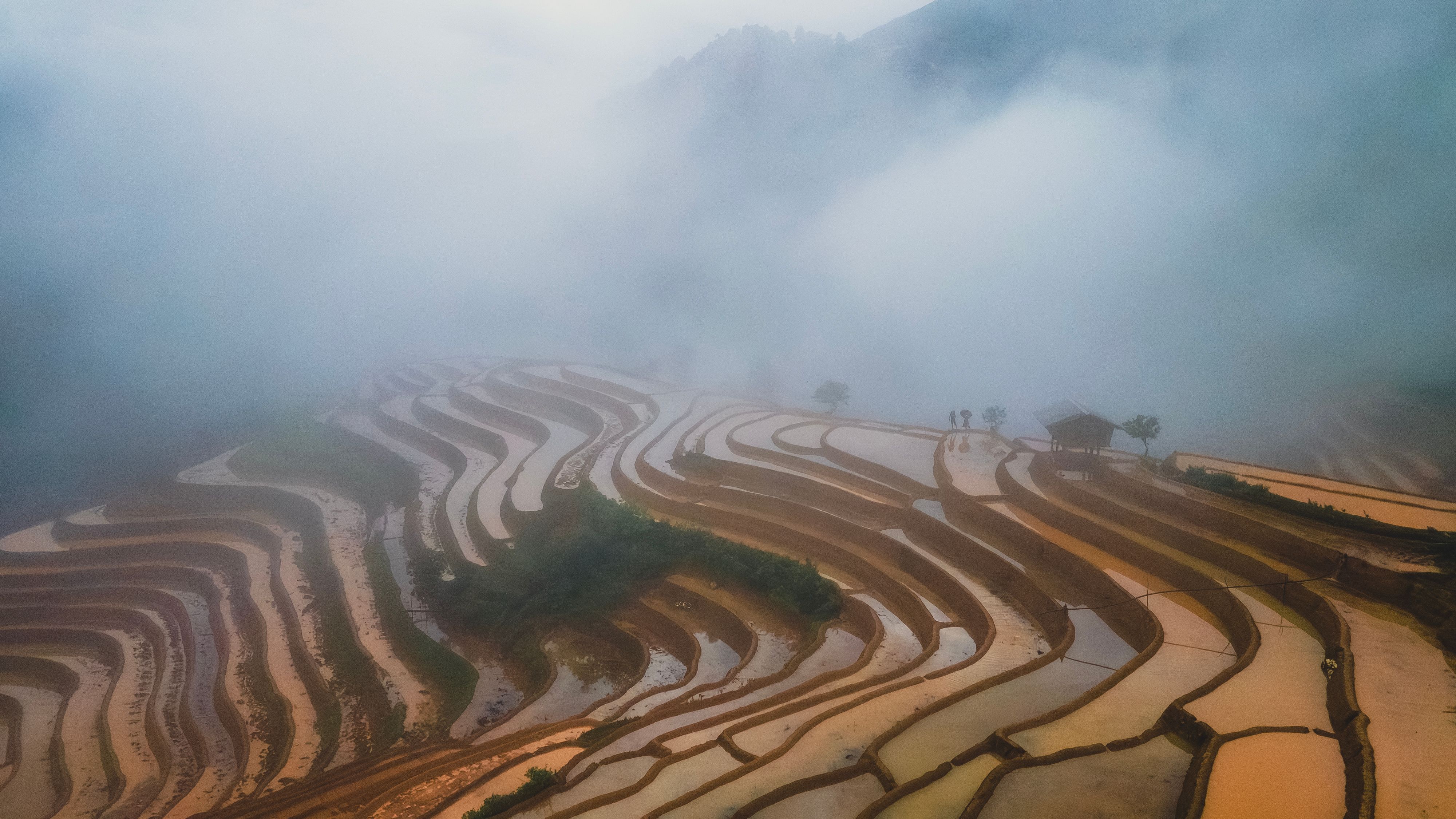 Aerial View of Terrace Rice Plantations · Free Stock Photo