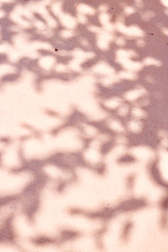 Shadow Background Photos, Download The BEST Free Shadow Background ...
