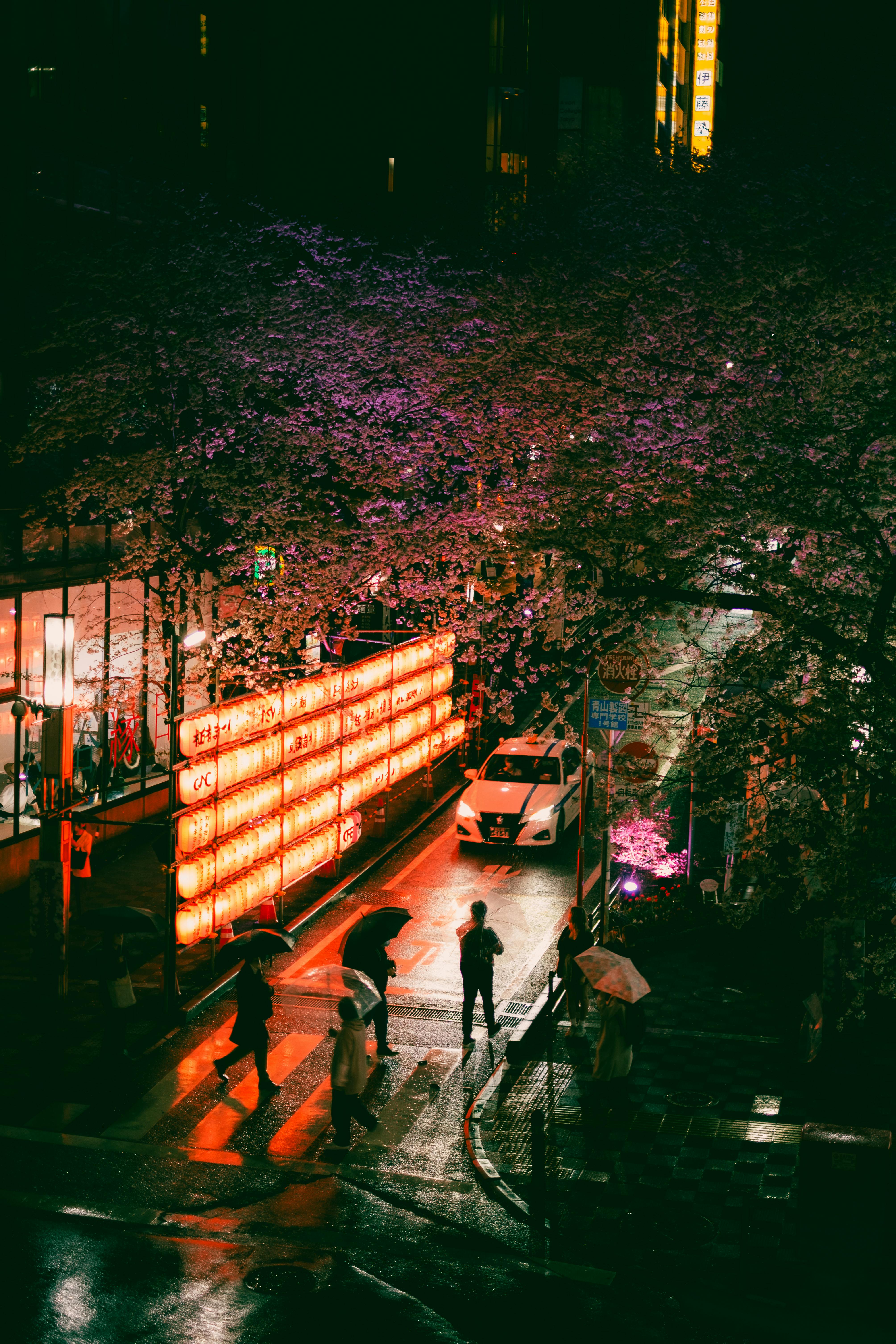 A vibrant city street at night, illuminated by neon lights and cherry blossoms.