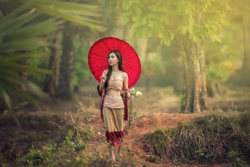 Free stock photo of asian, buffalo, farmer Stock Photo