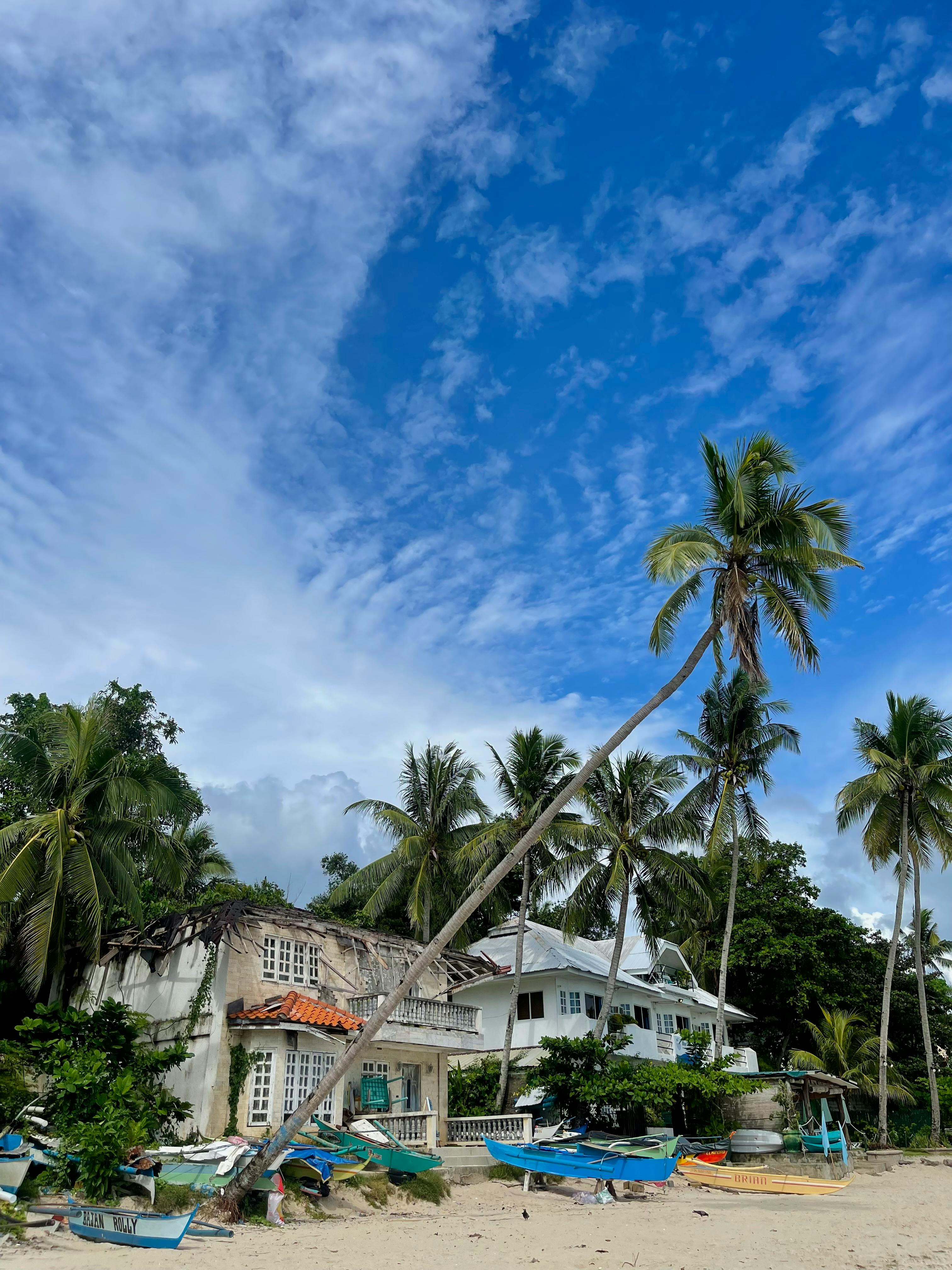 a beach with palm trees and boats on the shore