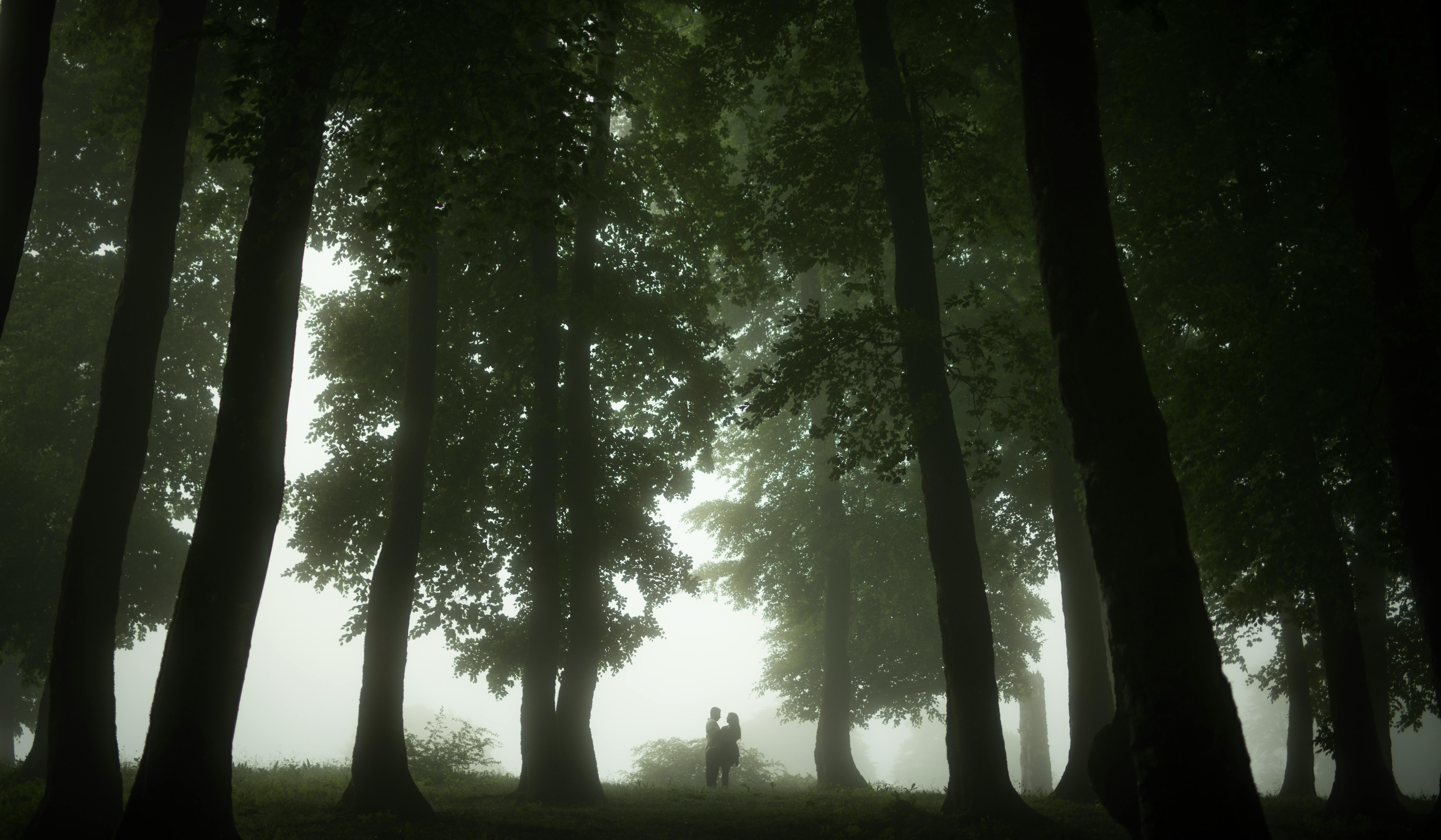 Evocative Settings and Atmospheres