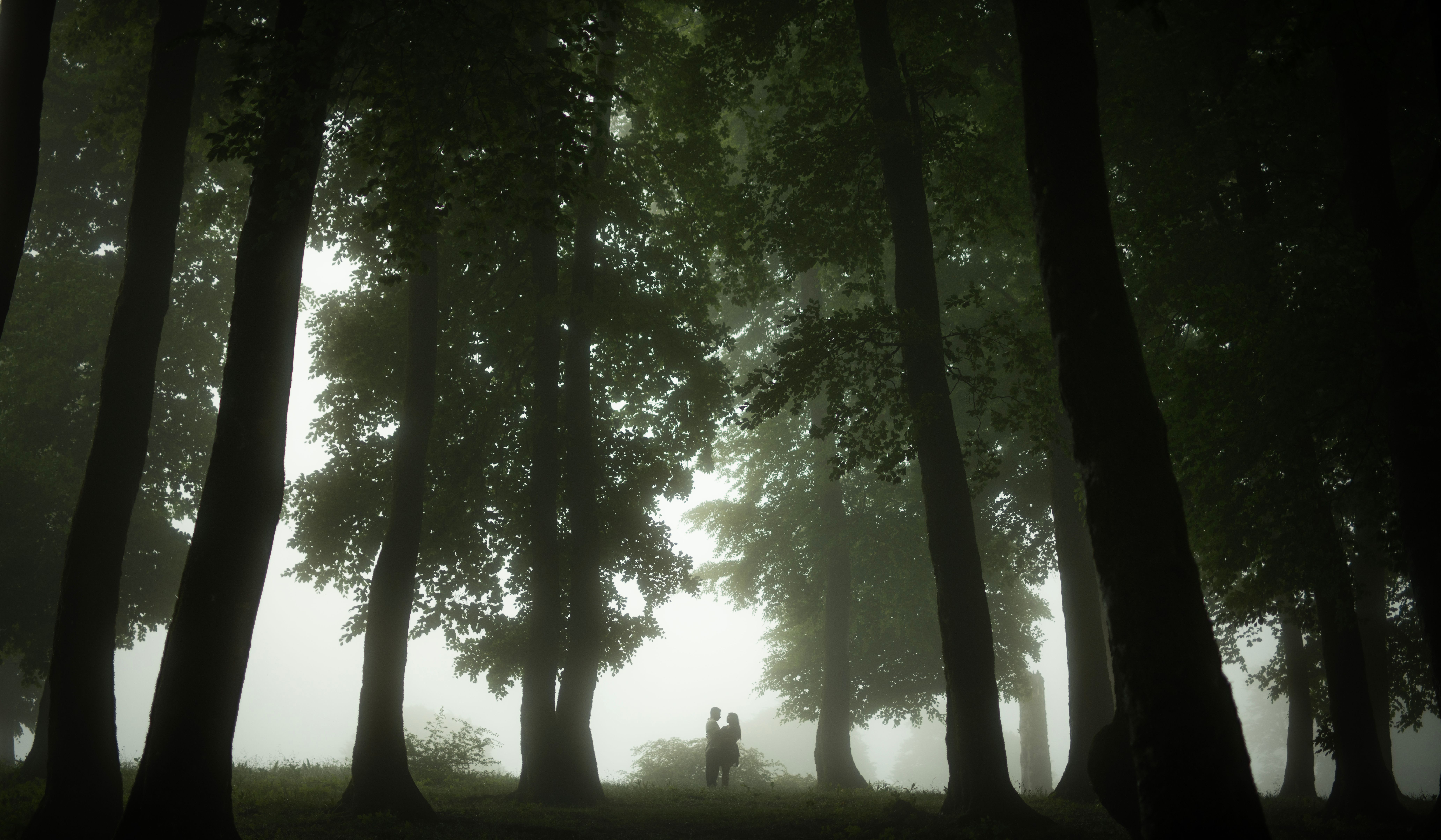 Silhouette of a Couple in the Middle of a Dark Forest · Free Stock Photo
